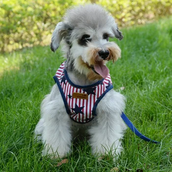 

Pet Dog Cat Harness & Leash Cute Pretty Fashion Set for Small Medium Dogs Puppy Kitten Chest Strap