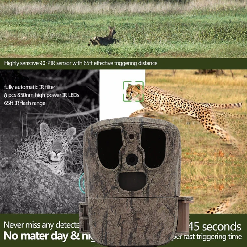 18