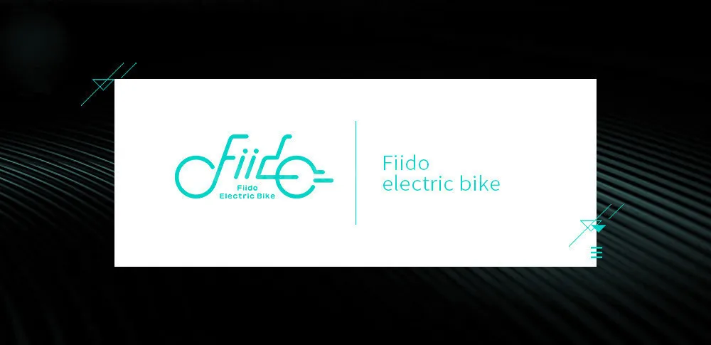 Fiido D1 Folding Electric Bike Two Wheels Electric Bicycle 14 Inch 36V 250W Mini Adults Electric Scooter With Seat  (8)