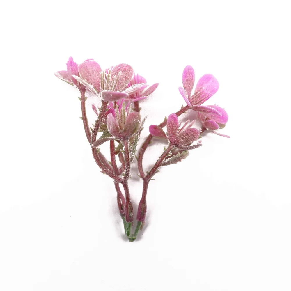 H2737059a78e344249d909c1aa9089680Y