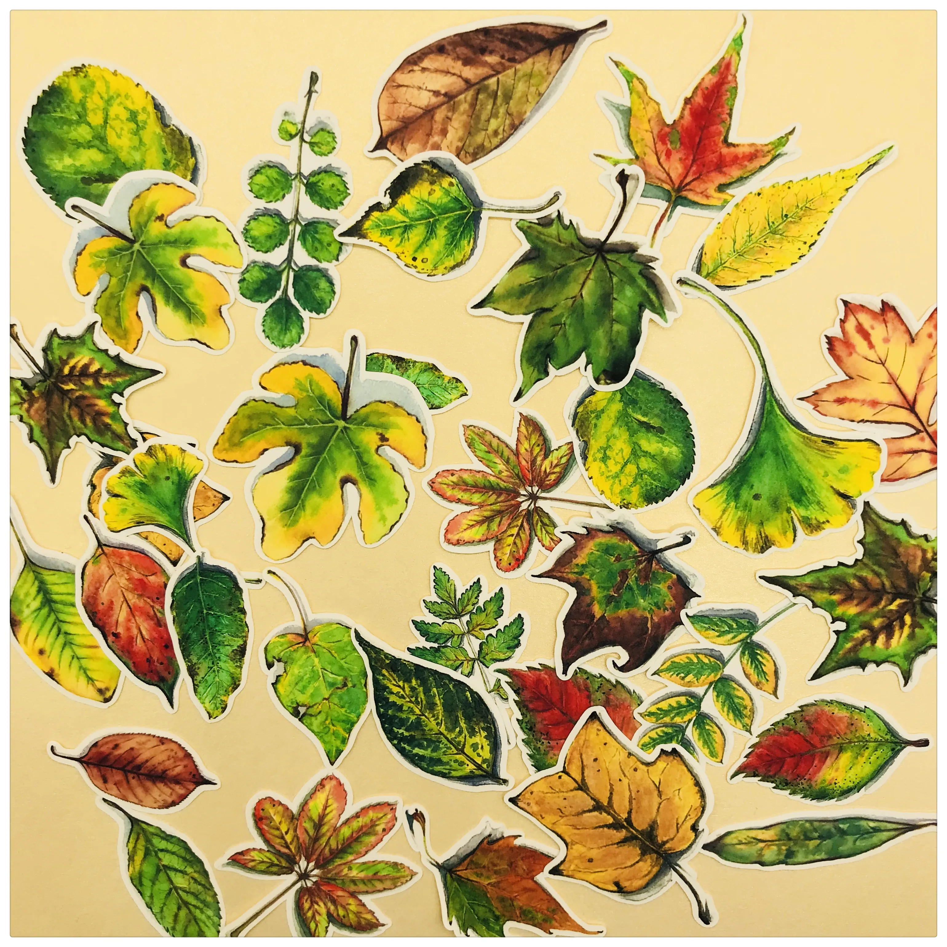 34 шт. руководство стикеров лист Справочник осенними листьями наклейки альбом