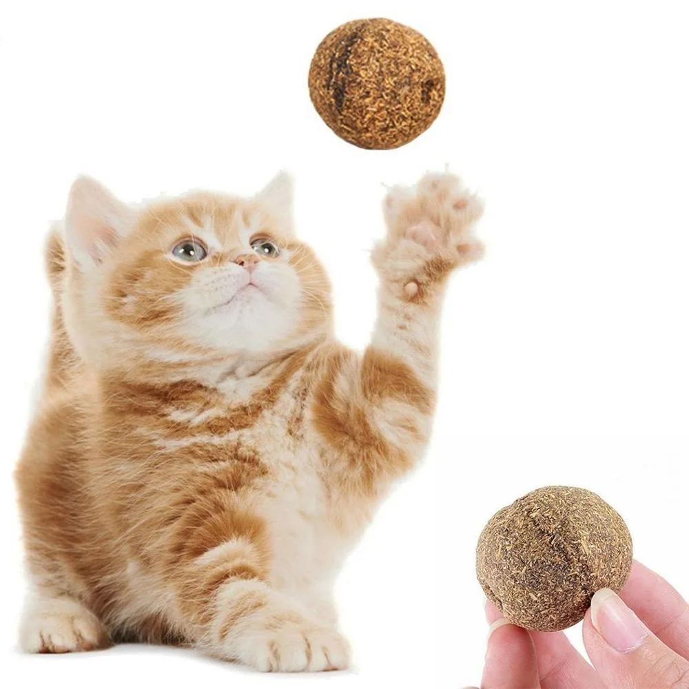 living nature toys cat