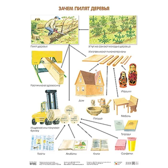 Самые большие спиленные деревья. Валка леса пилой штиль. Плакат. Почему пилят деревья. Распил дерева бензопилой.