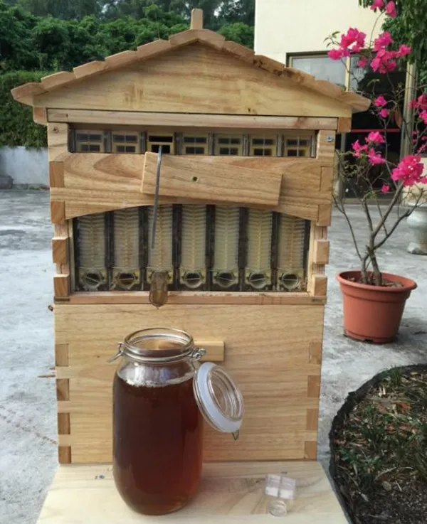 CE 7 шт Модернизированный инструмент пчеловода улья рамки+ улей деревянный ящик