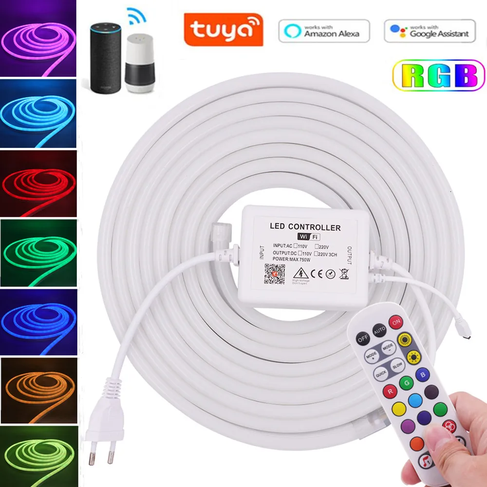 220V RGB LED Stripe Neon Light 110V Tuya Alexa WIFI Music Flexible Diode  Ribbon With Remote 5050 Tube Waterproof Tape Rope Lamp - AliExpress