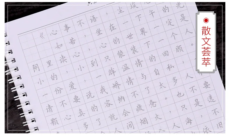 Liu Pin Tang 3pcs/set Pretty Girl Floral Calligraphy copybook for adult fresh Antiquity Copy Painting Pen regular script