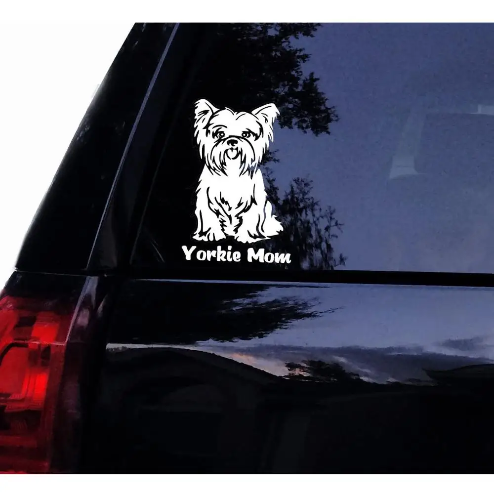 

5 in White Cat Lady Loves Her Cats Kitten Kittys Vinyl Car Decal Laptop Decal Car Window Wall Sticker