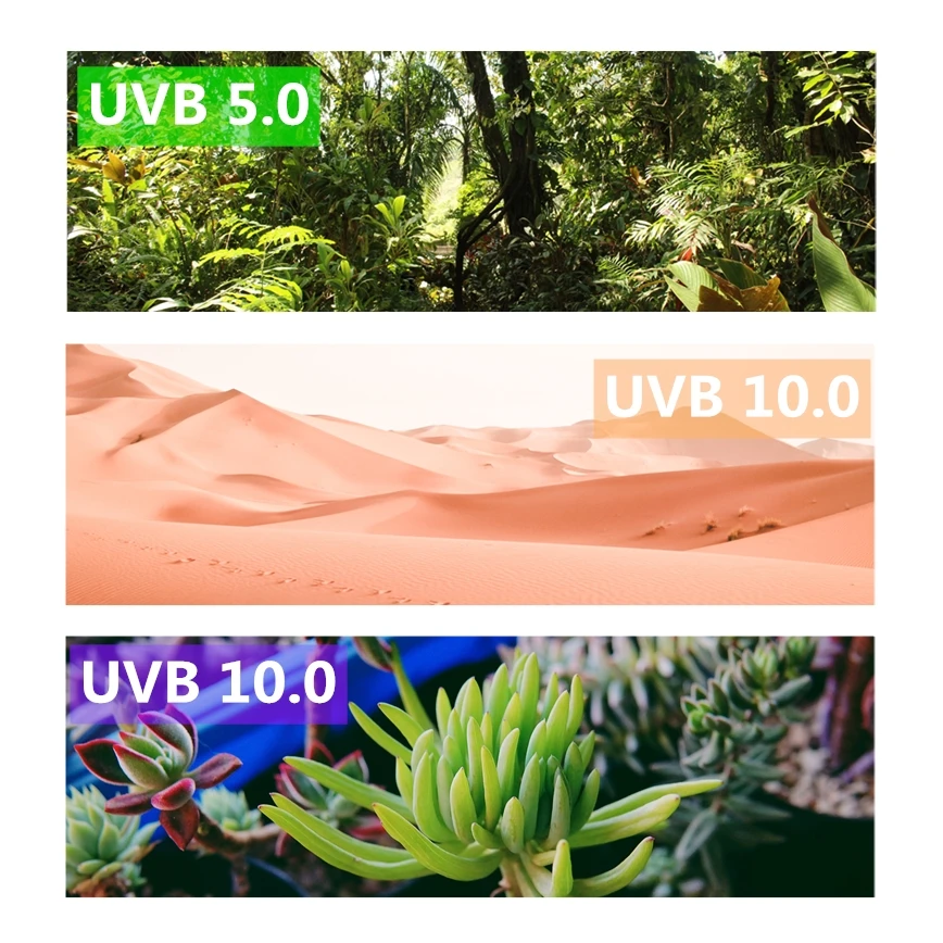 UVB5.0_10.0_3