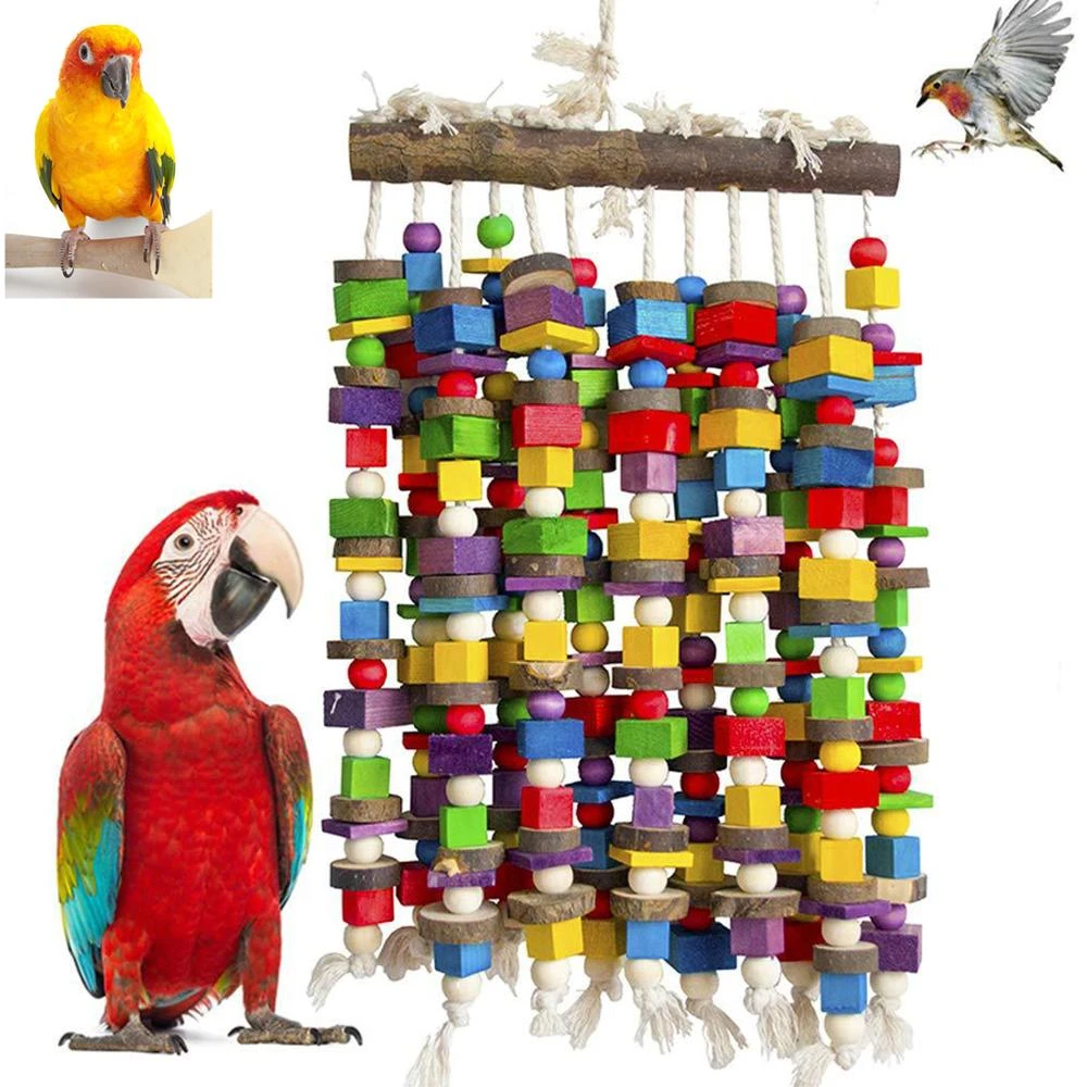 african grey parrot toys