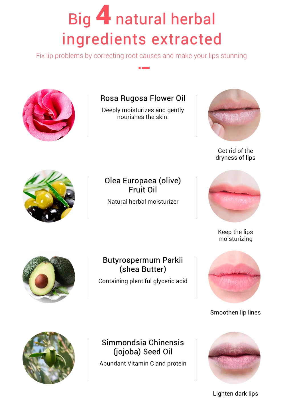 蓝蓓娜玫瑰花唇膜---英_06