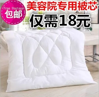 

Beauty Hospital Duvet Insert Blanket Brushed Thick Warm Beauty Foot Bath Massage Table Duvet Insert Winter Quilt Spring And Autu