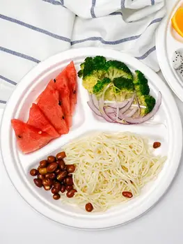 

100PCS Disposable Plates Compostable Natural Sugar Cane Fibers Plate for Party BBQ Camping 10 Inch