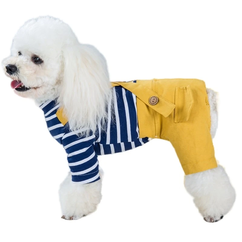 Maltese Outfits vlr.eng.br