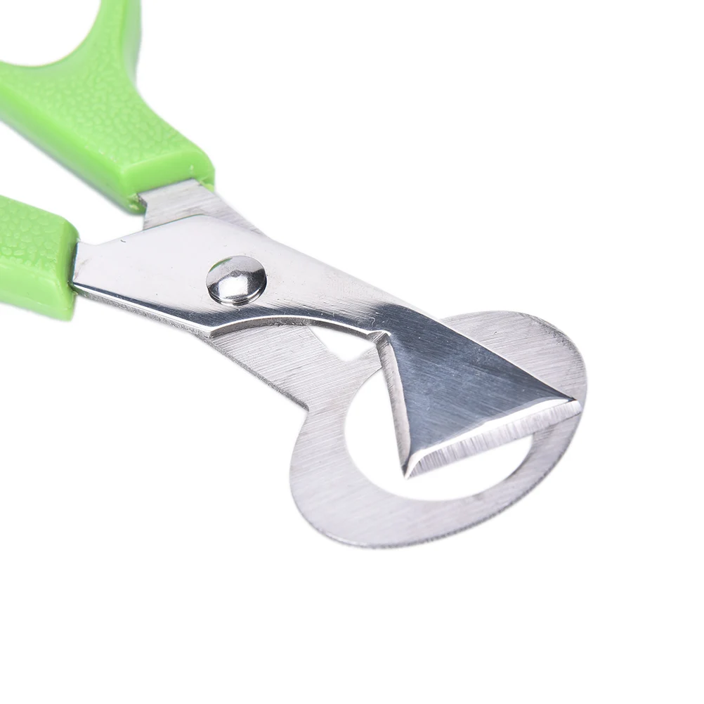 

ZLinKJ Pigeon Quail Egg Scissor Bird Cutter Opener Sale Kitchen Tool