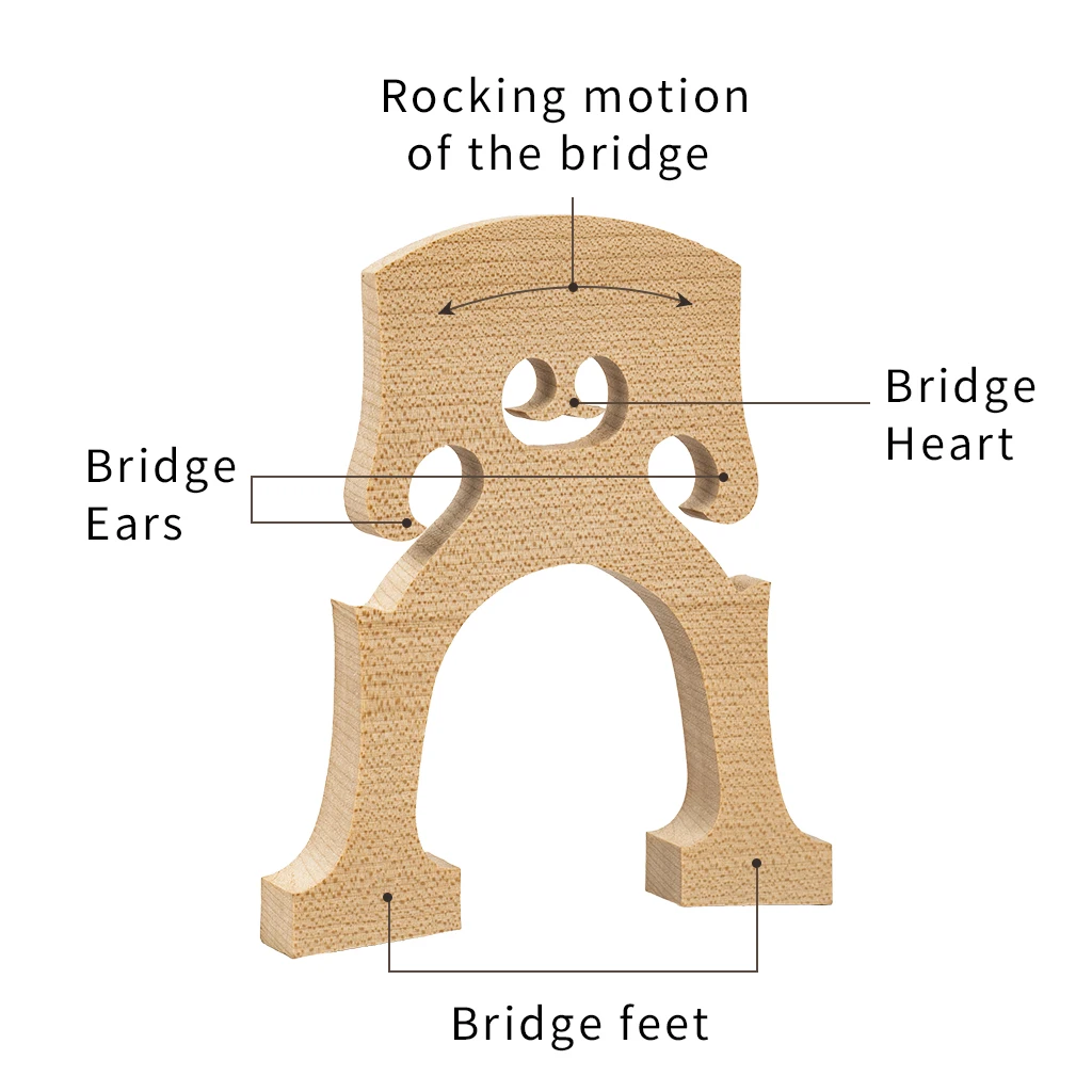 Maple Cello Bridge Standard Maple Bridge For Practice Use 4/4 3/4 1/2 1/4 1/8 Cello cello bridge