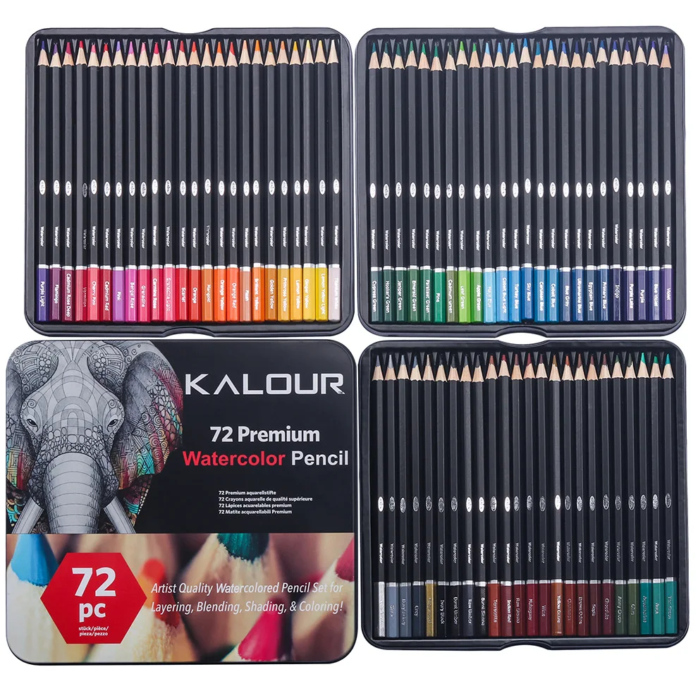 Castle Art Supplies 72 Colored Pencils Set | Quality Soft Core Colored  Leads for Adult Artists, Professionals and Colorists | Protected and  Organized