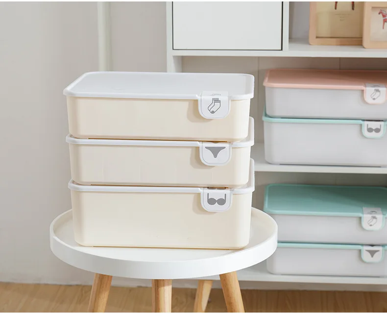 Multi-size Underwear Organizer Storage 