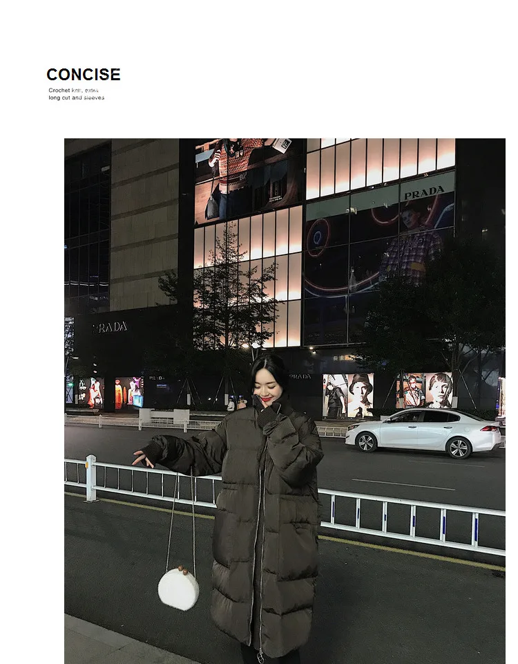 Photo Shoot Main Push Winter New Style Korean-style Loose-Fit Stand Collar Long Zipper Dark Coffee Cotton Overcoat Women's