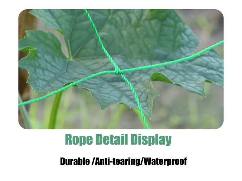 O1CN01KOuRAH1JMuXpsxcPj_!!1602131015