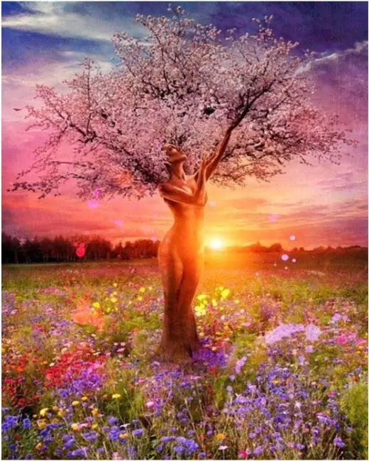Sunset bokeh tree Цифровая краска DIY фоторамка акриловая краска масляная краска закат красота Дерево картина спальня Холст Краска по номерам украшение - Цвет: Sunset bokeh tree