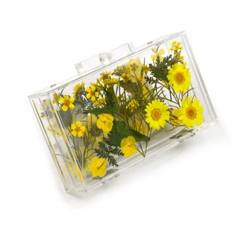 

Transparent Acrylic Women Clutch Messenger Chain Evening Bag Ladies Square Package Clear Plastic Handbags Bags
