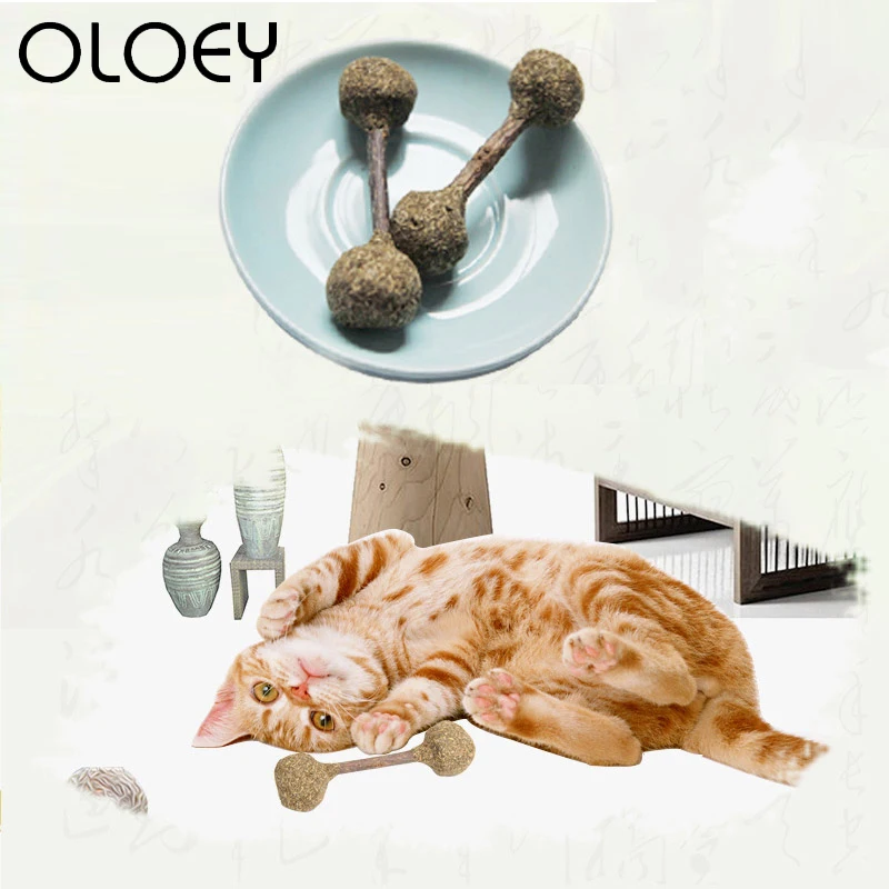 Натуральная кошачья мята для гимнастического зала Забавный Кот Игрушка Укус