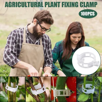 

Artificial Plant Clip Hami Melon Clip Plastic Vine Tether Clip 100PCS creative new style fruits and vegetables clips WY526