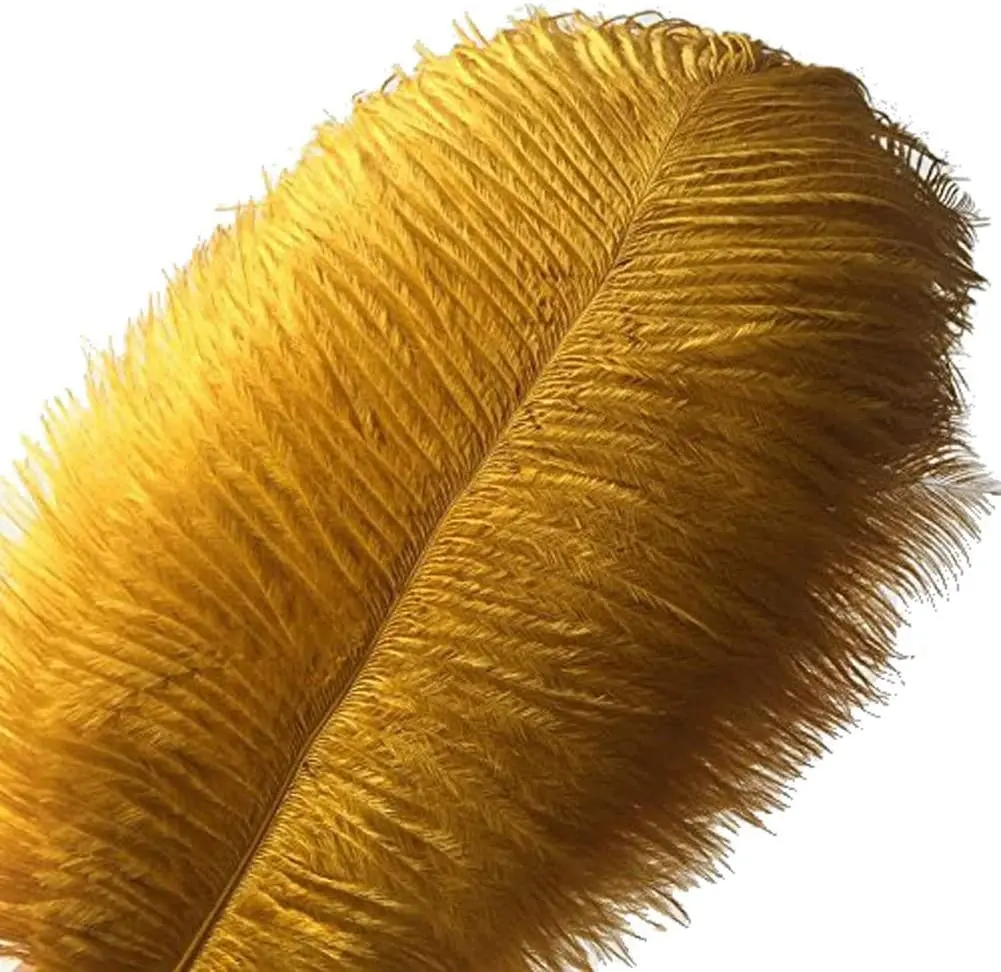 15 70CM 6 28inch 10 Pcs Luxury Gold Ostrich Feathers for Crafts Wedding