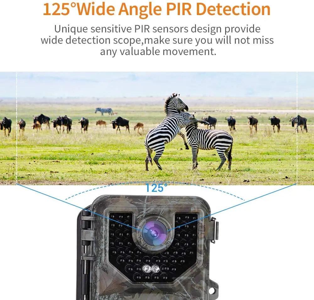 71vIS3WsGjL._AC_SL1000_