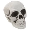 Plastic Human Mini Skull Decor Prop Skeleton Head Halloween Coffee Bars Ornament 5