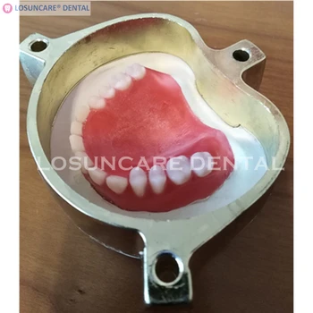 

Copper Denture Flask Dental Lab Press Compress Compressor Equipment Parts Flask On Acrylic Partial Work