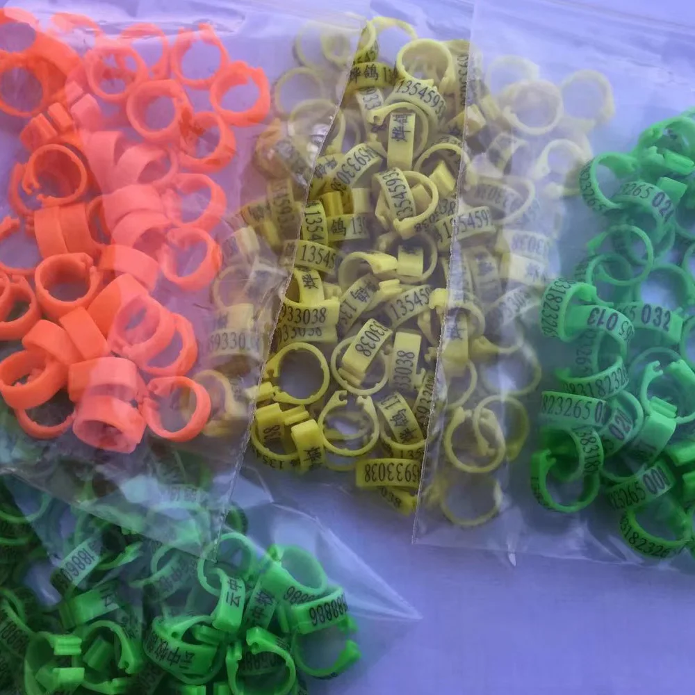 Custom Various Hardness Waterproof Transparent Plastic Sealing Ring O-Ring  - China Rubber Seal, Plastic Gasket | Made-in-China.com