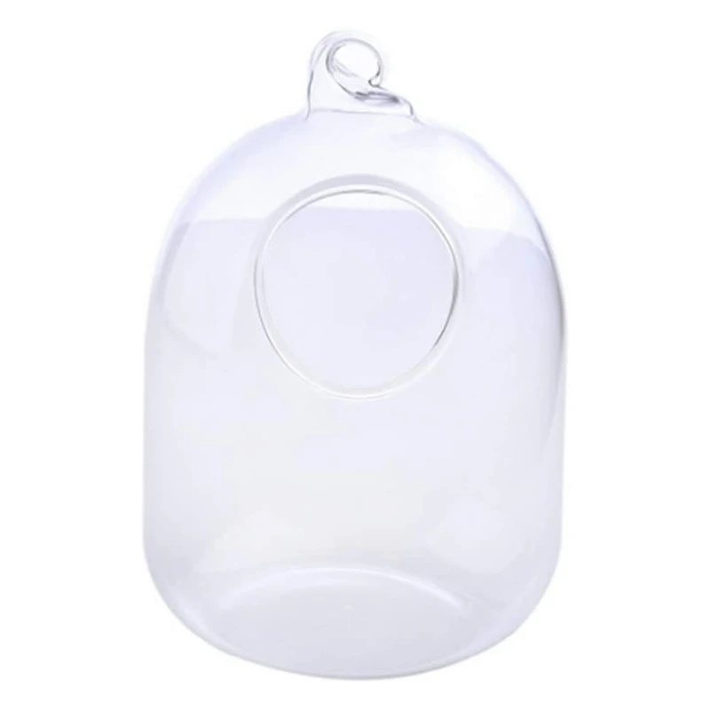 Suspended Transparent Hanging Glass Fish Tank Infusion Bottle Aquarium Flower Pl D0AC