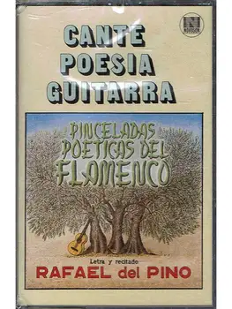 

Rafael ofthe Pine-Brushstrokes Poetic of Flemish. Cassette