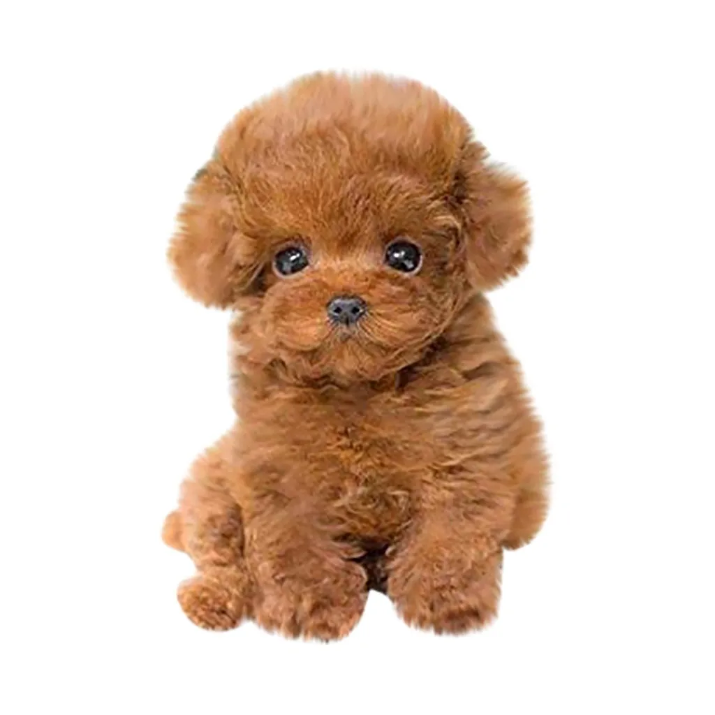 Realistic Teddy Dog Lucky, Handmade 