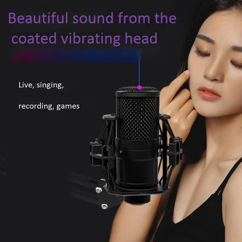 

B2035 Condenser Microphone Equipment Set Live Microphone Computer Network K Song Mobile Phone Sound Card Shockproof Frame Access