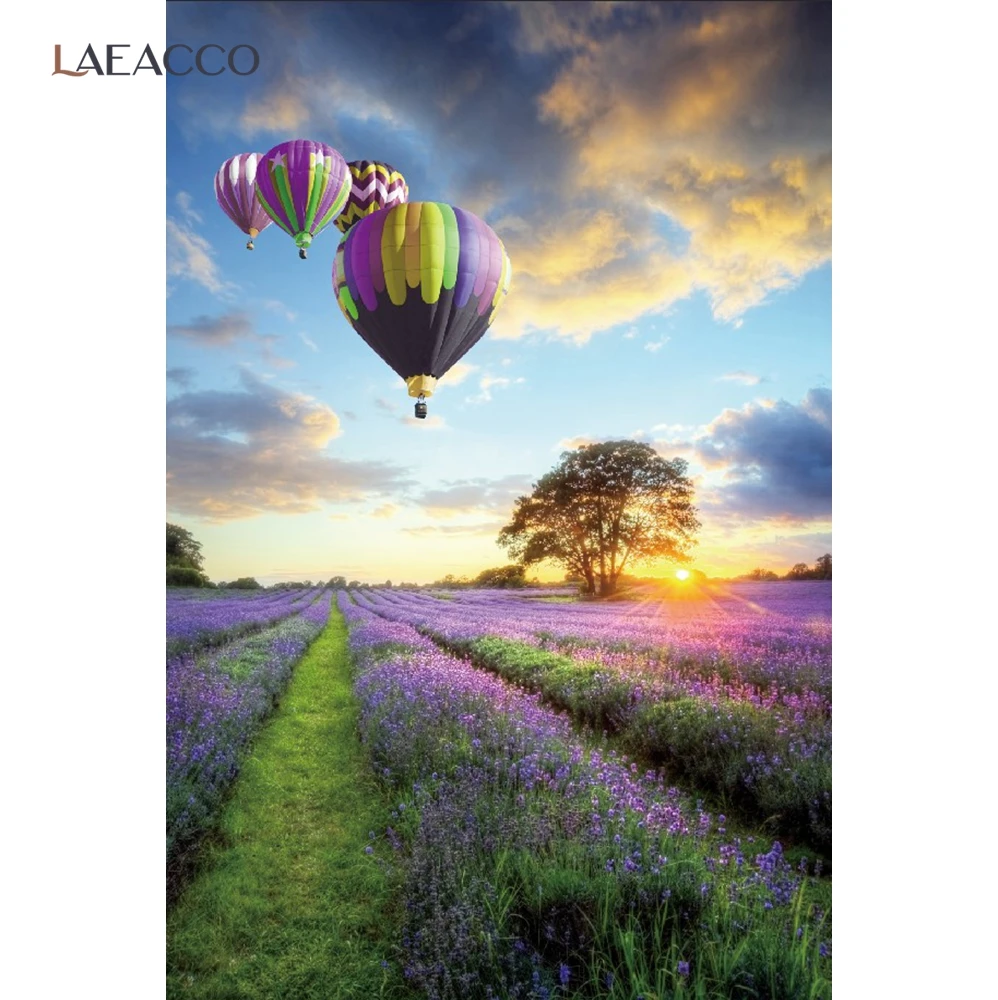Laeacco-   ǹ ⱸ  Ƽ  Ʃ, ġ    