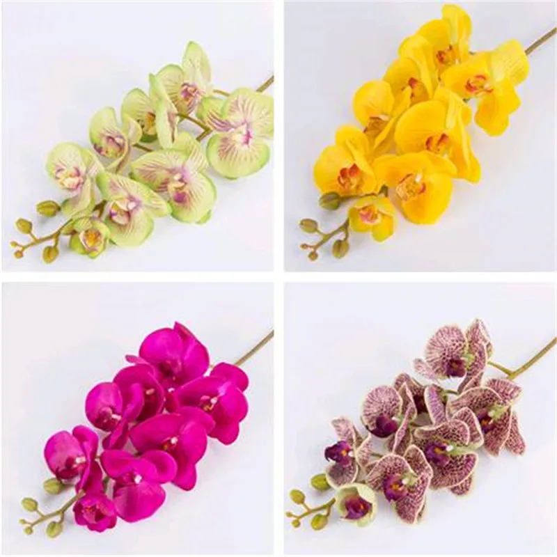 Butterfly Orchid Stems Choose Color 
