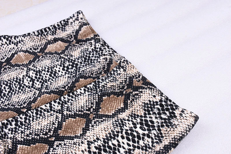 4728315956_1963300012