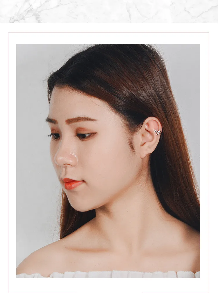 10528292412_19612025