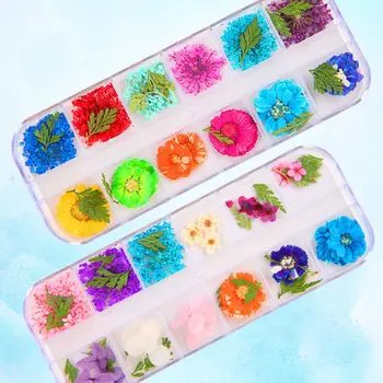 

12 Pcs/box Dried Flowers Epoxy Sheet UV Decoration Resin Silicone Mold DIY Jewelry Filler Beauty Nail Accessory