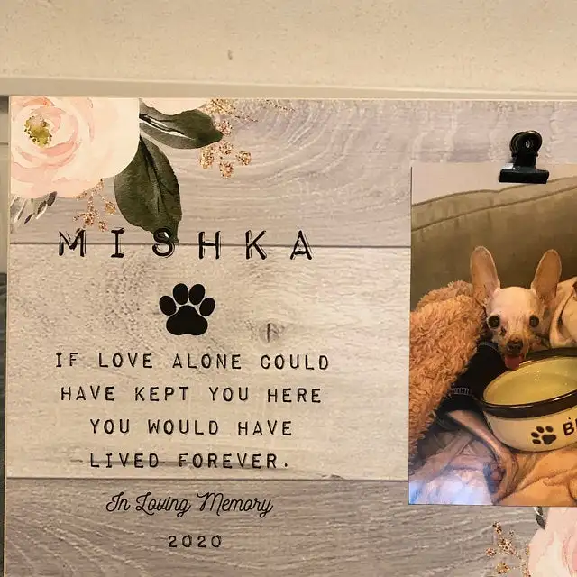 iap_640x640.2378718287_215474k6