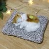 Car Ornament Simulation Sounding Sleeping Cats Plush Toy Birthday Christmas New Year Gift  Kids Boys Girls 3