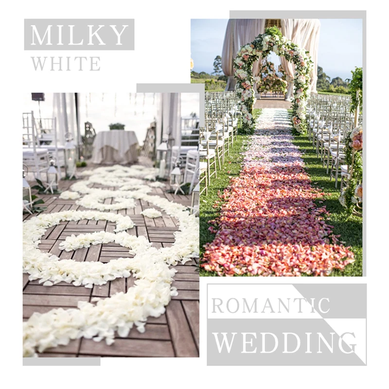 O1CN01ziGerN27hGyl5Kxno_!!349907828