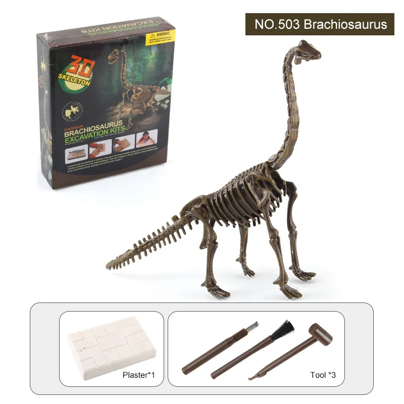 Creative STEM 3D Archaeological Excavation Kit Skeleton Simulation