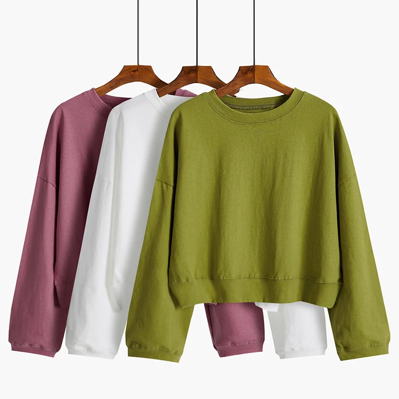 

9 Colors Winter Grey Hoodie Round Neck Long Sleeve Velvet Warm Sweatshirts Women Korean Black Loose Hoodies Female Casual Coat