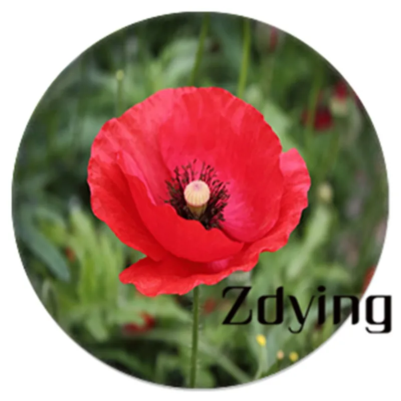 ZDYING 5 шт. цветок ручной работы красного цвета фото Круглые Стеклянные Кабошон бусины Diy ювелирных изделий брошь с серьгами YS007 - Цвет: YS024
