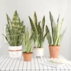 Plantas artificiales para decoración de jardín doméstico, vegetales falsos de plástico, bonsái, rama de sansevieria, hazlo tú mismo ► Foto 2/6