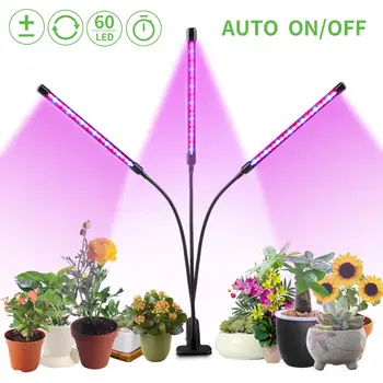 

Plant Growth Fill Light Timing Function Three Head Strip Clip Lamp Plant Drug Flower Fruit Assisted Growth Fill Light Lamp