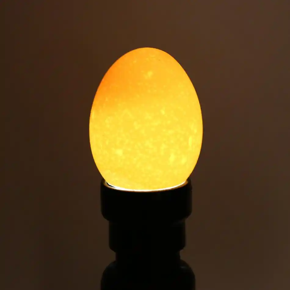 geneic Incubator Eggtester Egg Candling Lamp LED Super Cold Equipment Poultry Incubation Tools geneic Incubator Eggtester Egg Candling Lamp LED Super Cold Equipment Poultry Incubation Tools